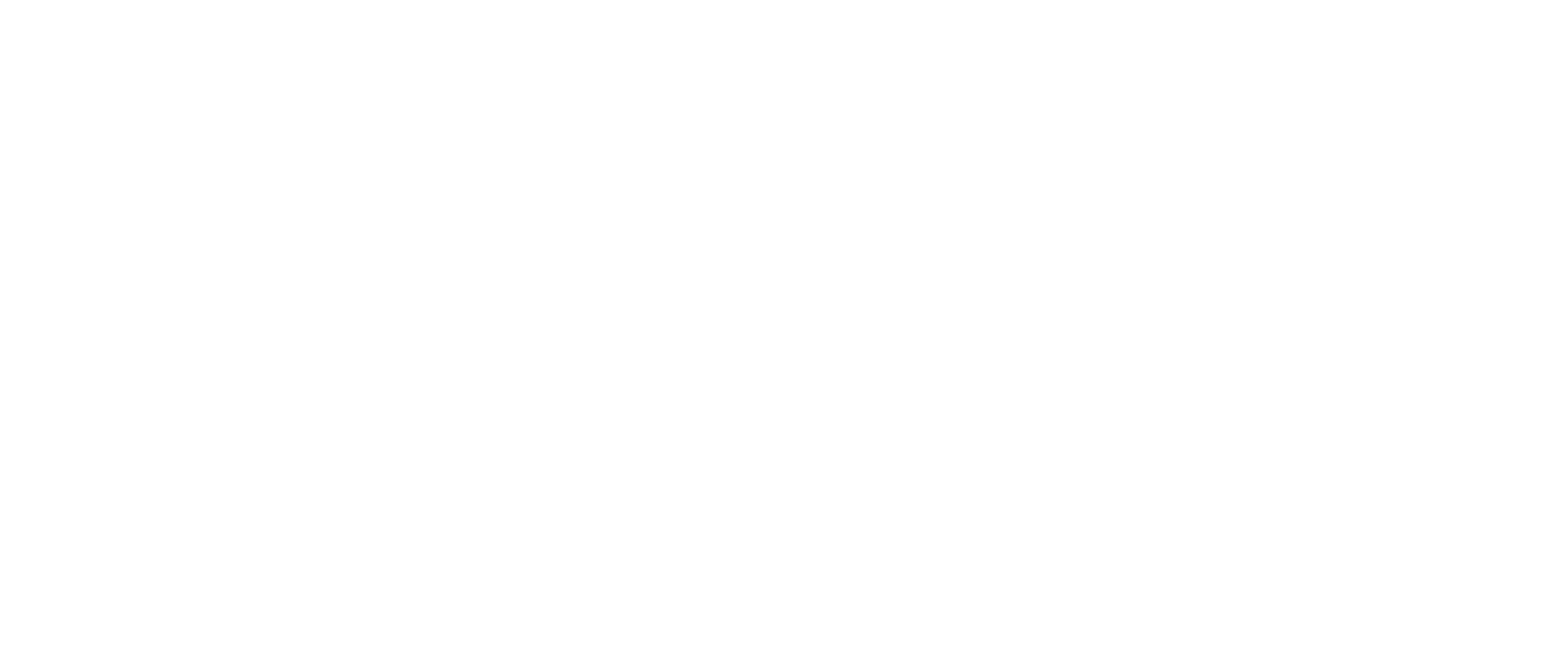 New Orleans Virtual Concierge logo for Fortuna Smiles