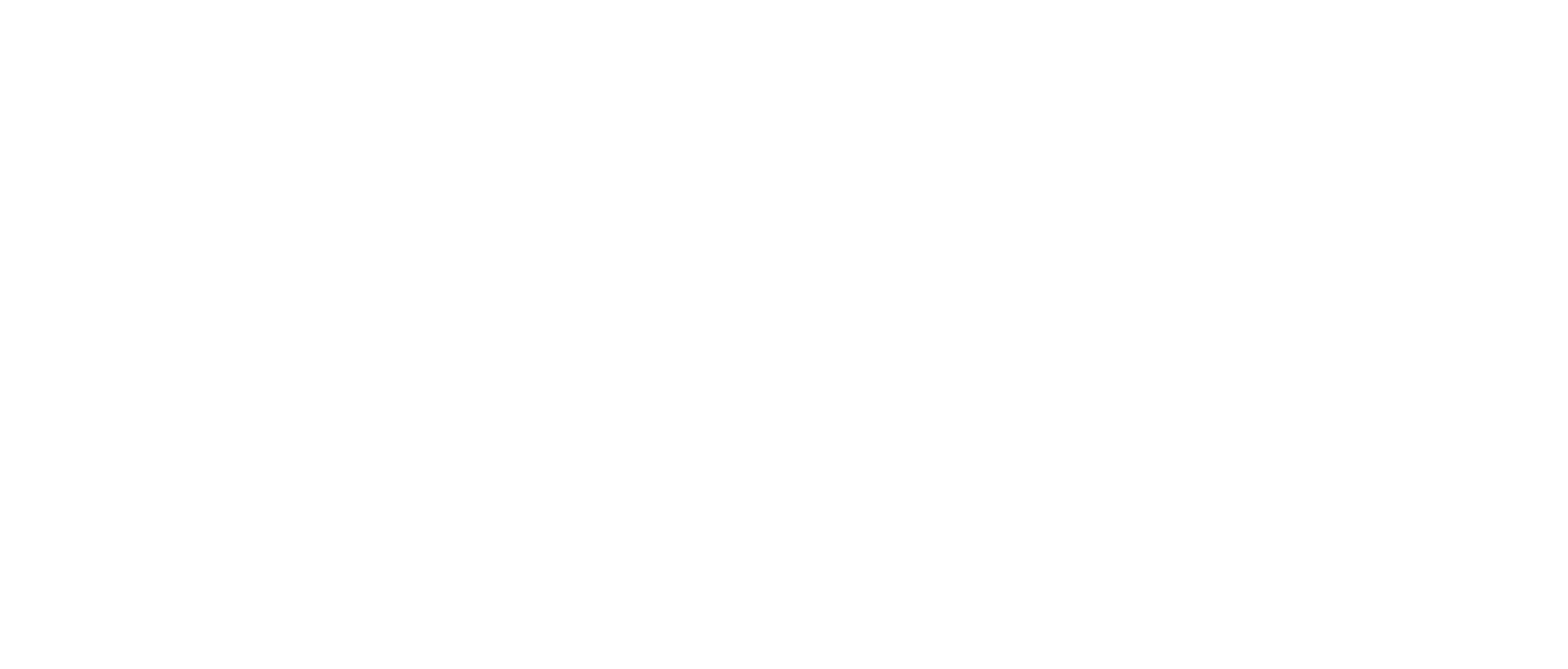 New Orleans Virtual Concierge logo for Fortuna Smiles